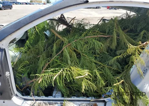 2012 Bentley Continental Gt z USA, uszkodzony, nr VIN SCBFR7ZA7CC071240